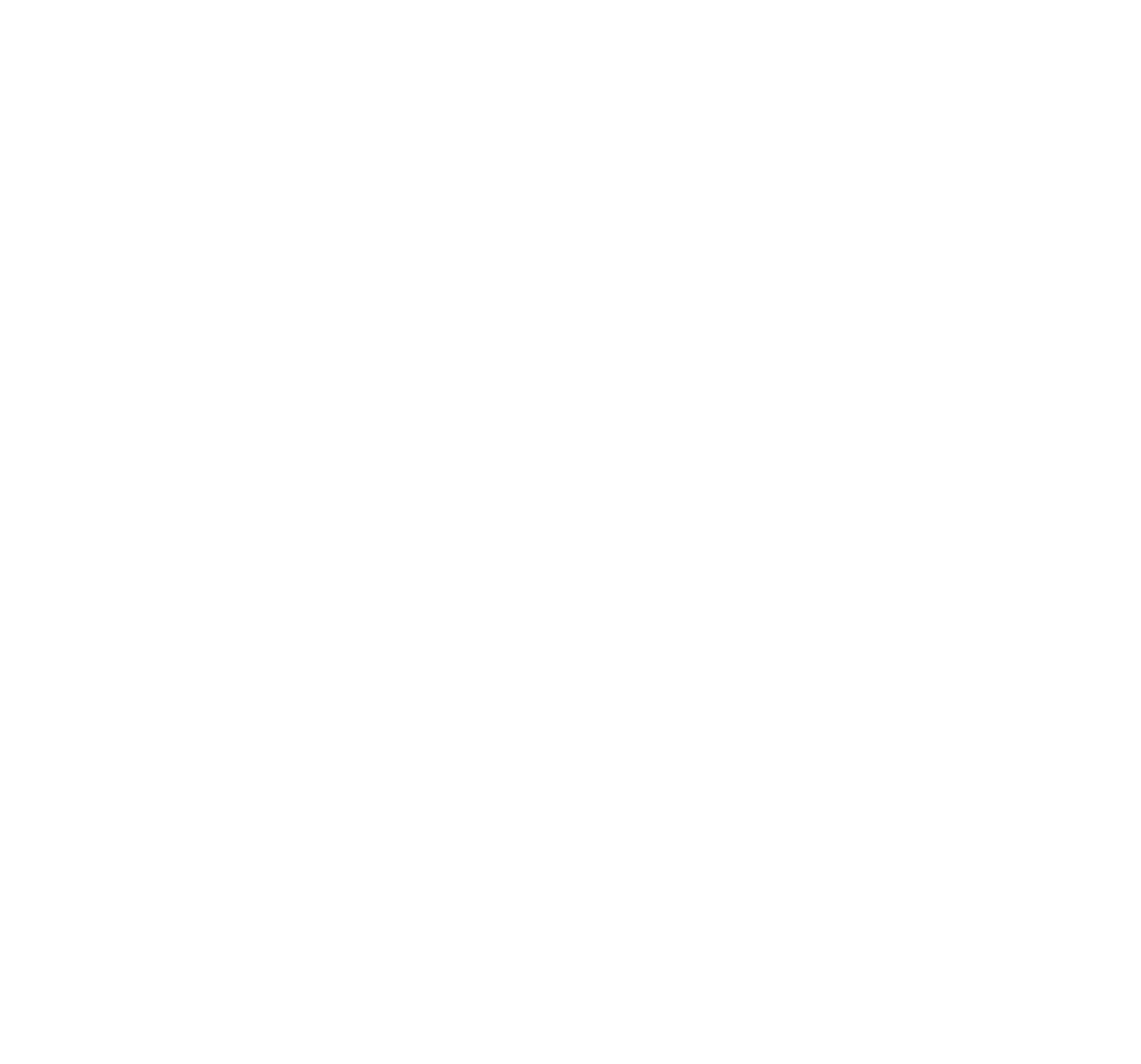 Regula Kunz Vision